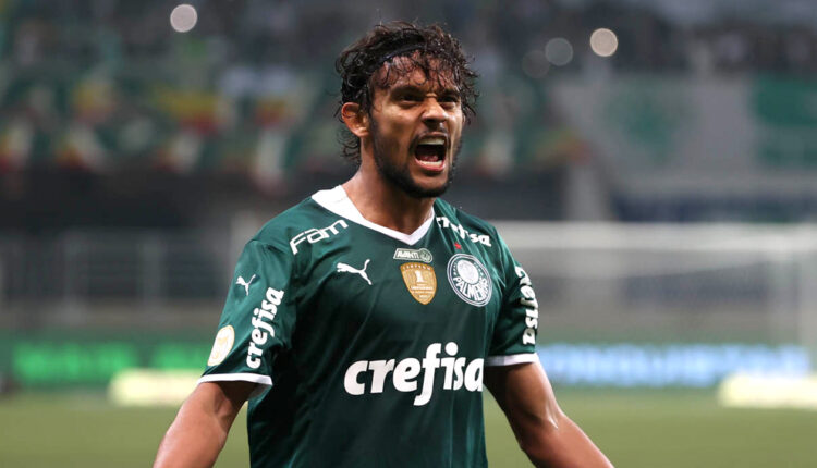 palmeiras_scarpa