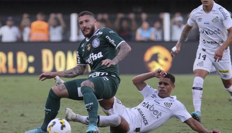 Palmeiras e Santos se enfrentam neste sábado (Foto: Mauricio de Souza / LancePress!)