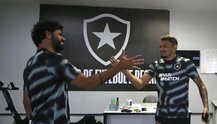 Com a chegada de novo reforço para a briga no Campeonato Brasileiro, Túlio Maravilha dá conselho a craque do Botafogo