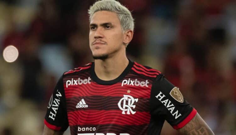 Pedro Flamengo