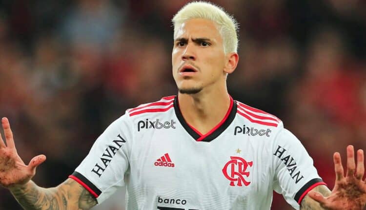 Pedro Flamengo