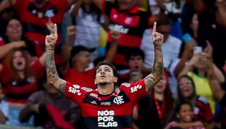 Pedro Flamengo